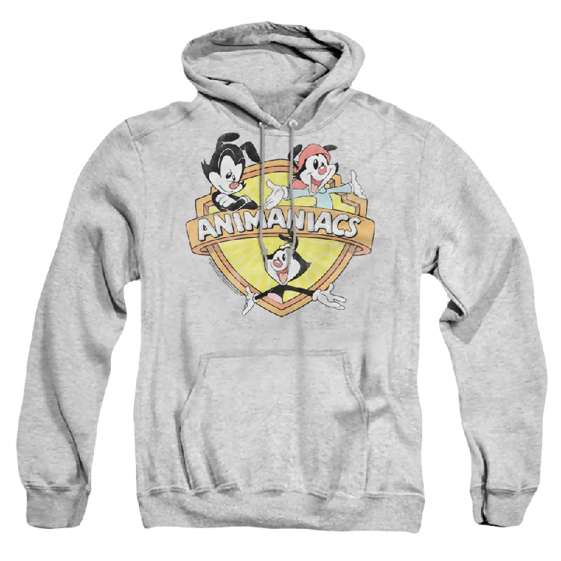 casual streetwear hoodieAnimaniacs Shielded Animaniacs - Pullover Hoodie